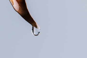Not All Intimate Washes Are Created Equal. Veida Care Sets the Standard!